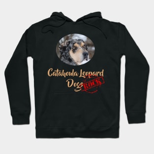 Catahoula Leopard Dogs Rock! Hoodie